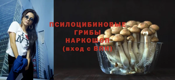 тгк Аркадак