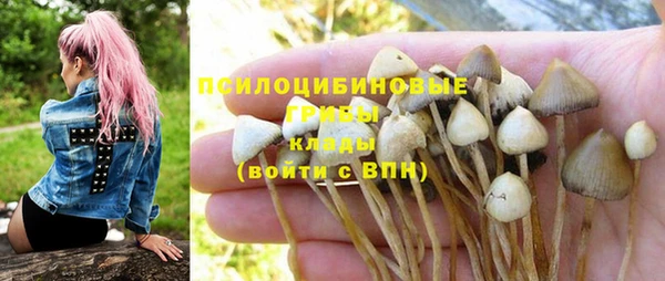 бошки Алексеевка