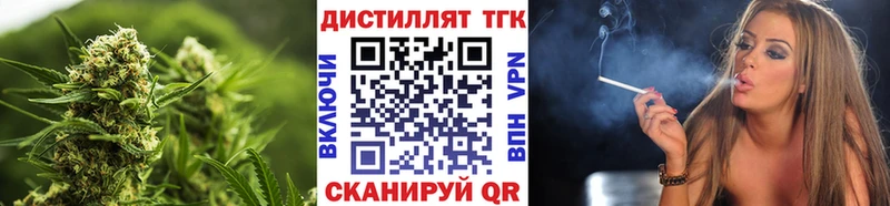 закладка Аркадак ТГК жижа