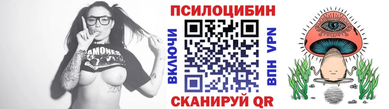 Псилоцибиновые грибы прущие грибы Аркадак
